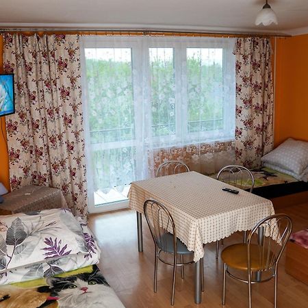 Kwatery Prywatne U Gosi Nad Solina Solina  Extérieur photo